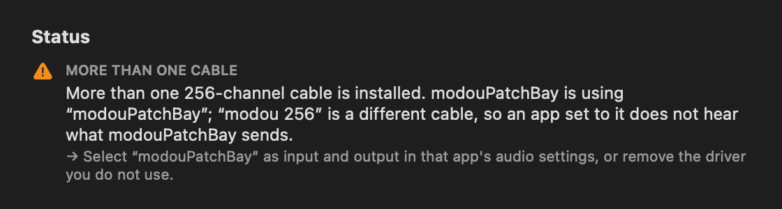 The Issues panel, here with the warning raised when two 256-channel cables are installed: it names the cable modouPatchBay uses and the one it does not.